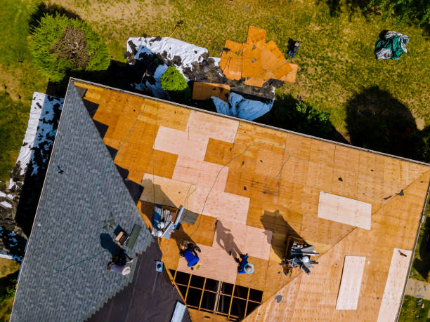 Quick and Trustworthy Emergency Roof Repair Services in Ladonia, AL