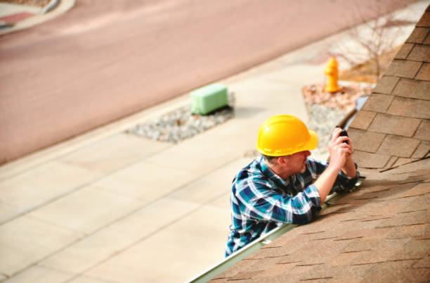 Best Roof Inspection Near Me  in Ladonia, AL