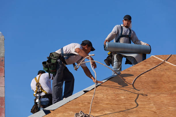 Best Roof Repair Services  in Ladonia, AL