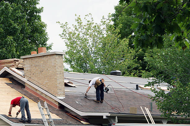 Best Metal Roofing Contractor  in Ladonia, AL
