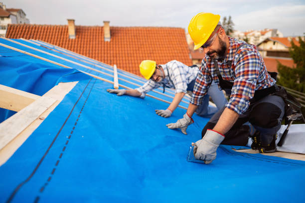 Best Roof Installation Near Me  in Ladonia, AL