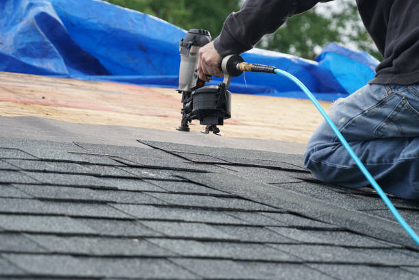 Best Storm Damage Roof Repair  in Ladonia, AL