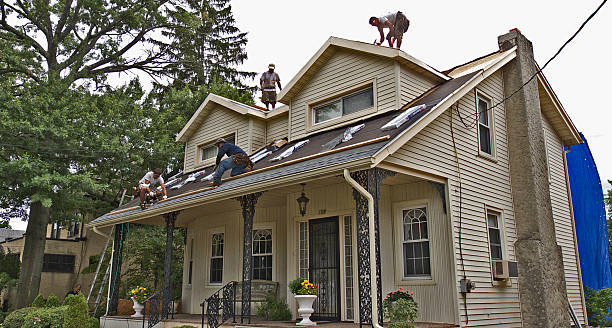 Best Roof Maintenance Services  in Ladonia, AL