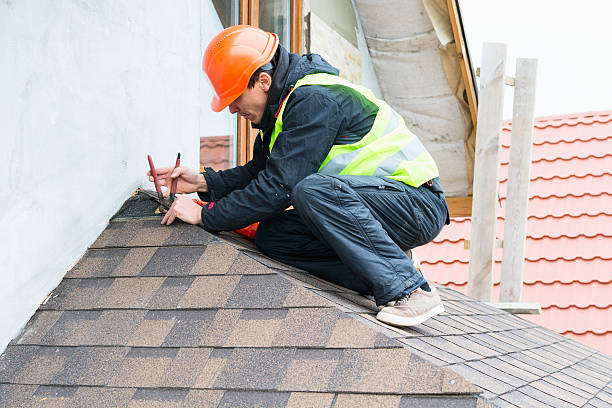 Best Local Roofing Companies  in Ladonia, AL