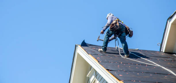 Best Gutter Installation and Roofing  in Ladonia, AL